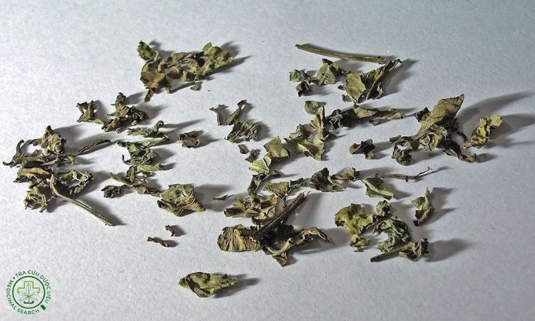 Thu hoạch, sơ chế và bảo quản 1 Thu hoạch, sơ chế và bảo quản 1