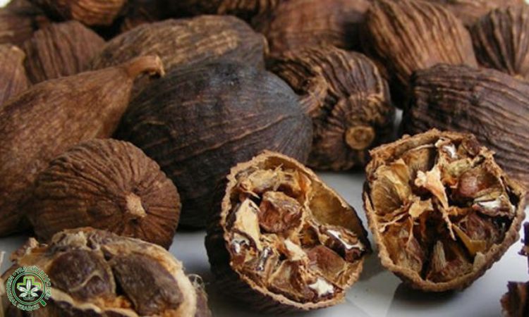 Khai thác, chế biến và bảo quản 2