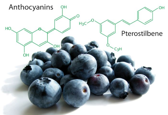 8. Anthocyanin trong quả việt quất có thể có tác dụng chống tiểu đường 1