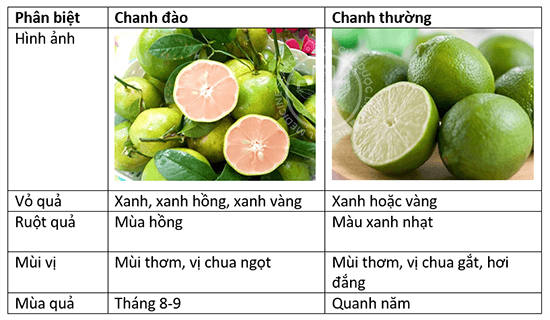 Phân biệt chanh đào với chanh thường 1