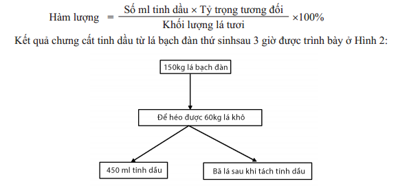 Chưng cất tinh dầu 1