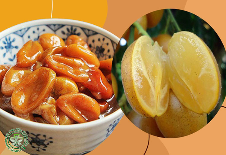 Bài thuốc giảm ho, long đờm 1 Bài thuốc giảm ho, long đờm 1