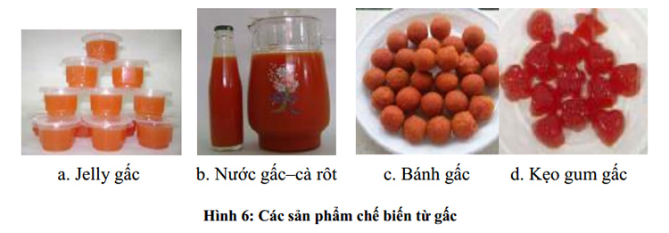 Hàm lượng carotenoid trong các sản phẩm 1