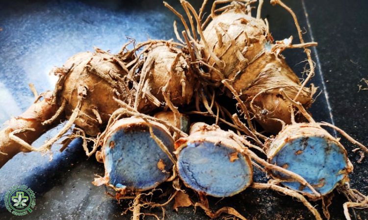 Thu hoạch và bảo quản 1 Thu hoạch và bảo quản 1