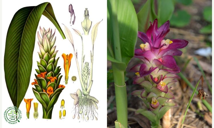 Thông tin khoa học 1