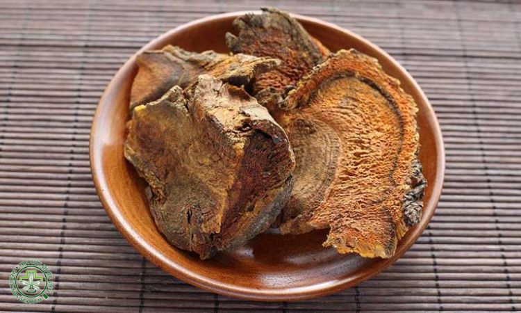 Thu hoạch làm thuốc 1
