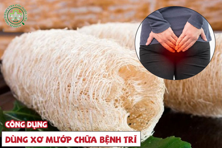 Xơ mướp chữa bệnh trĩ, táo bón, đi ngoài ra máu 1