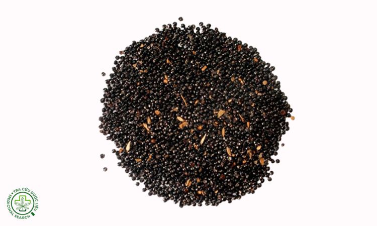 Thu hoạch và bảo quản 1