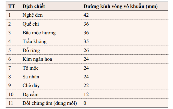 3.4. Kết quả thử vòng kháng khuẩn 2