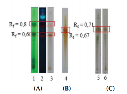 3.3. Phân tích thành phần dịch chiết bằng các phương pháp sắc ký 1