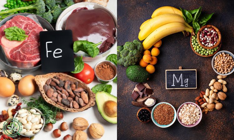3.3. Thực phẩm có nhiều chất sắt và magie 1 3.3. Thực phẩm có nhiều chất sắt và magie 1