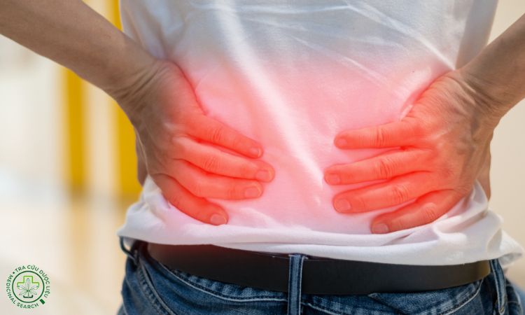 1. Thoát vị đĩa đệm là gì? 1 1. Thoát vị đĩa đệm là gì? 1