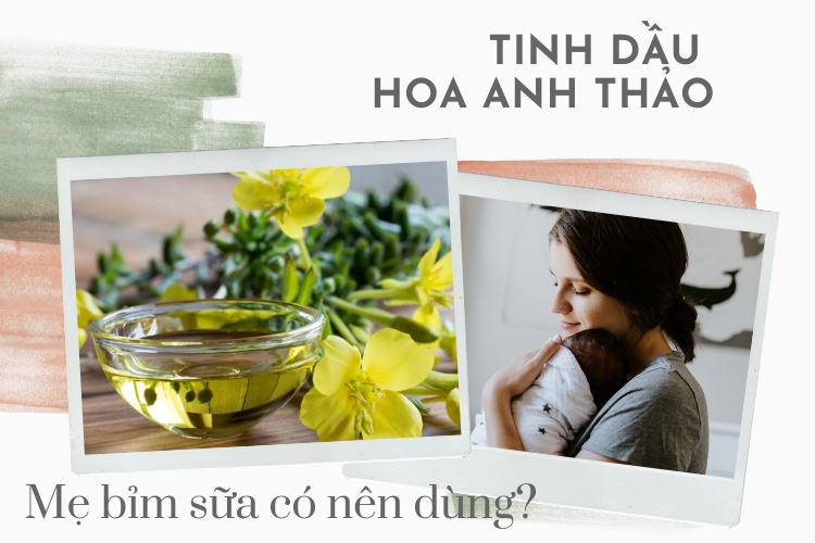Có nên dùng tinh dầu hoa anh thảo cho phụ nữ cho con bú? 1 Có nên dùng tinh dầu hoa anh thảo cho phụ nữ cho con bú? 1
