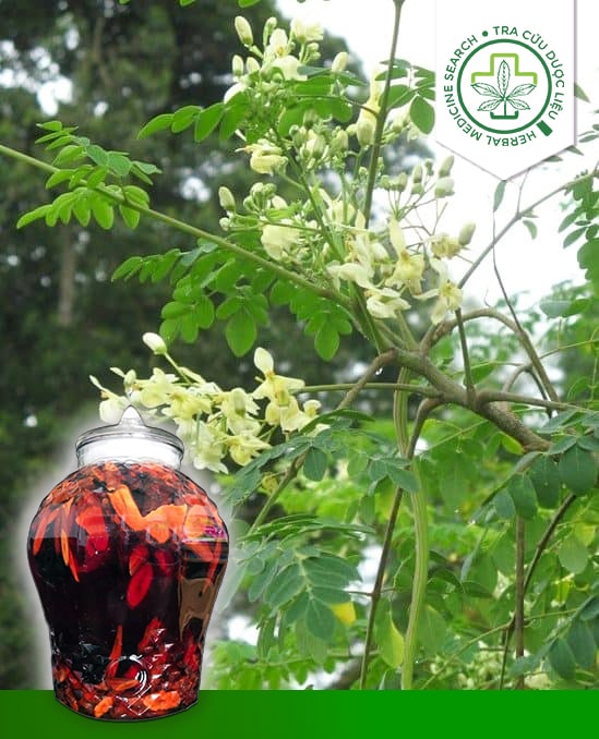 Mú Từn 1 Mú Từn 1