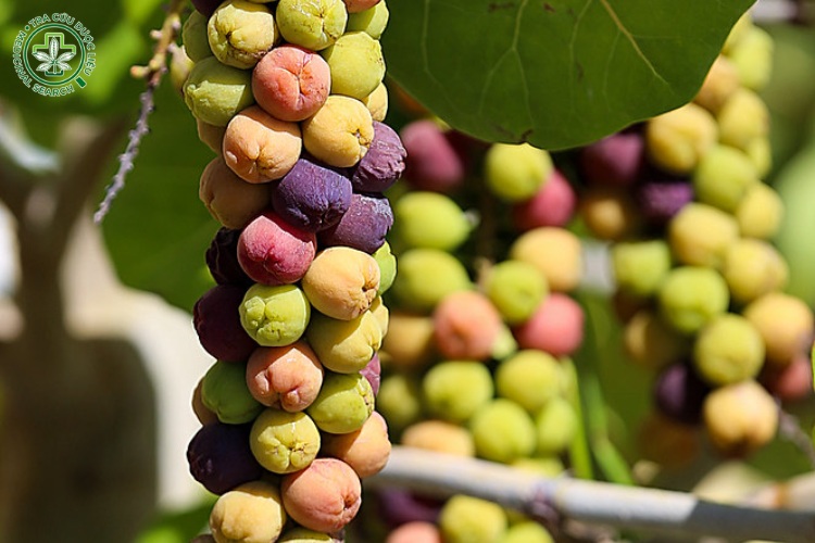 Bộ phận sử dụng 1