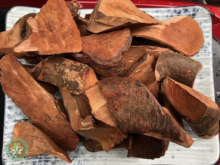 Cách chọn mú từn ngâm rượu 1 Cách chọn mú từn ngâm rượu 1