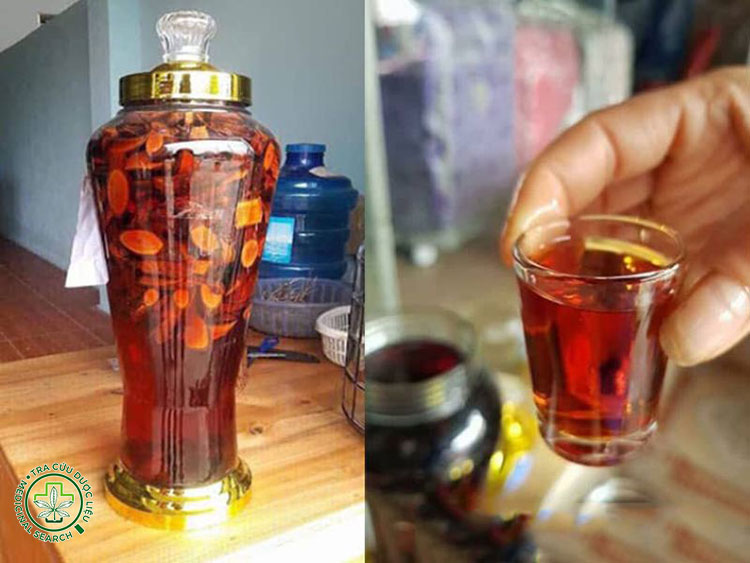 Tác dụng của mú từn ngâm rượu 1 Tác dụng của mú từn ngâm rượu 1