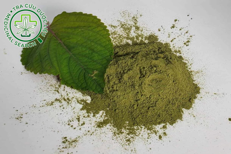 1.4. Bột lá tía tô 1