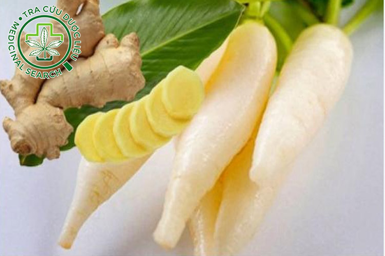 2.6. Gừng và củ cải 1