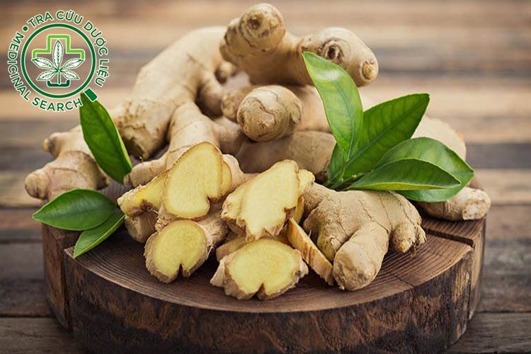 2.9. Gừng và lá chanh tươi 1