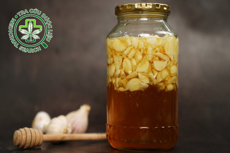 2.5. Tỏi và mật ong 1