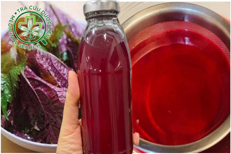 1.2. Nước ép lá tía tô 1