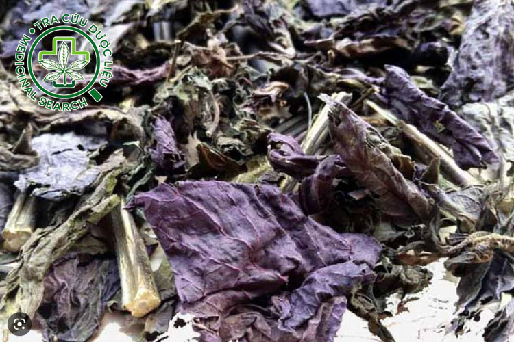 1.1. Trà lá tía tô khô 1