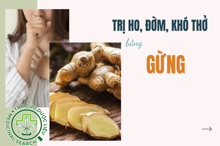 11 cách trị ho, đờm, khó thở bằng gừng hiệu quả 1