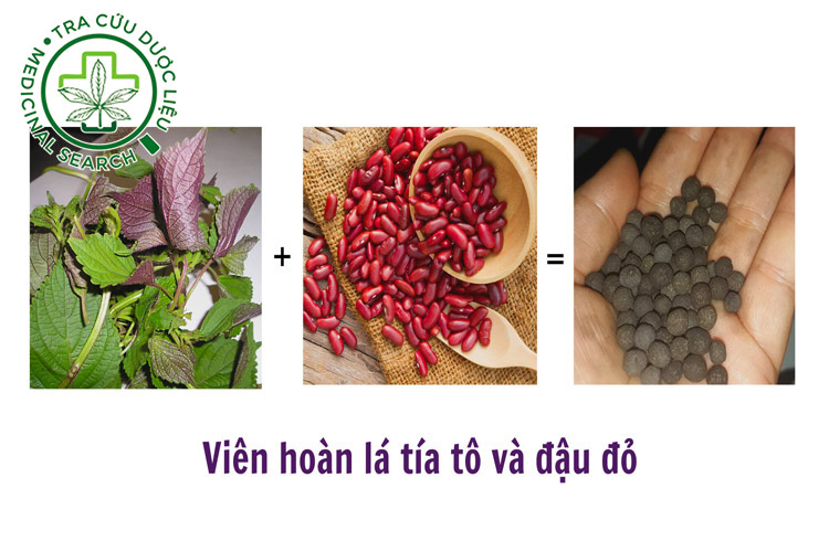 1.5. Viên hoàn lá tía tô và đậu đỏ 1
