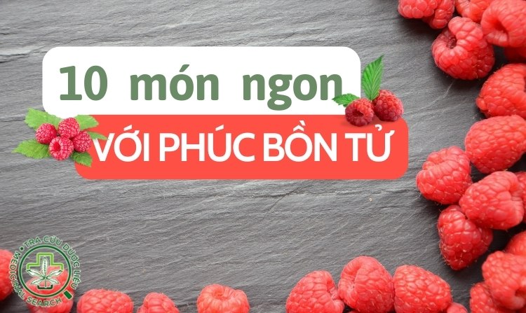 Top 10 món ngon với phúc bồn tử không thể bỏ qua 1