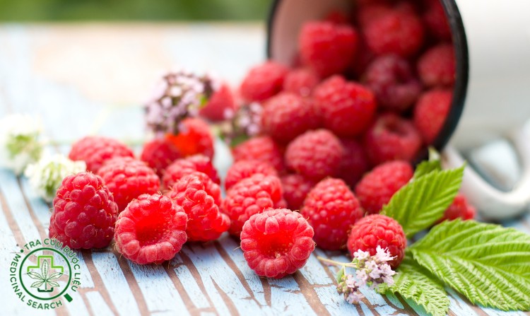 1. Ăn phúc bồn tử có công dụng gì? 1