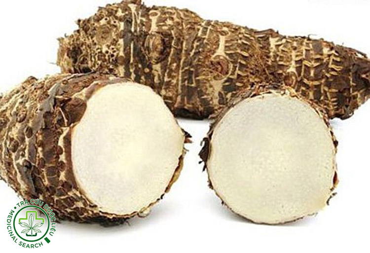 Cách đánh cảm bằng củ ráy 1 Cách đánh cảm bằng củ ráy 1