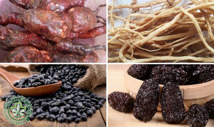 2.2. Liều lượng Hà thủ ô theo từng bệnh cụ thể 1 2.2. Liều lượng Hà thủ ô theo từng bệnh cụ thể 1