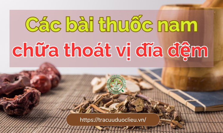 7 bài thuốc nam chữa thoát vị đĩa đệm hiệu quả 1 7 bài thuốc nam chữa thoát vị đĩa đệm hiệu quả 1