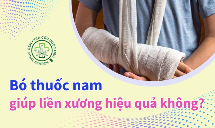 Liệu bó thuốc nam giúp liền xương đem lại hiệu quả? 1 Liệu bó thuốc nam giúp liền xương đem lại hiệu quả? 1