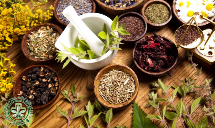 3. Lưu ý khi sử dụng bài thuốc nam chữa thoát vị đĩa đệm 1 3. Lưu ý khi sử dụng bài thuốc nam chữa thoát vị đĩa đệm 1