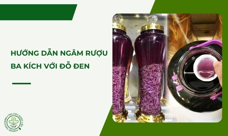 Cách ngâm rượu ba kích với đỗ đen 1
