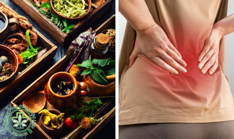 1. Tìm hiểu về bệnh thoát vị đĩa đệm 1 1. Tìm hiểu về bệnh thoát vị đĩa đệm 1