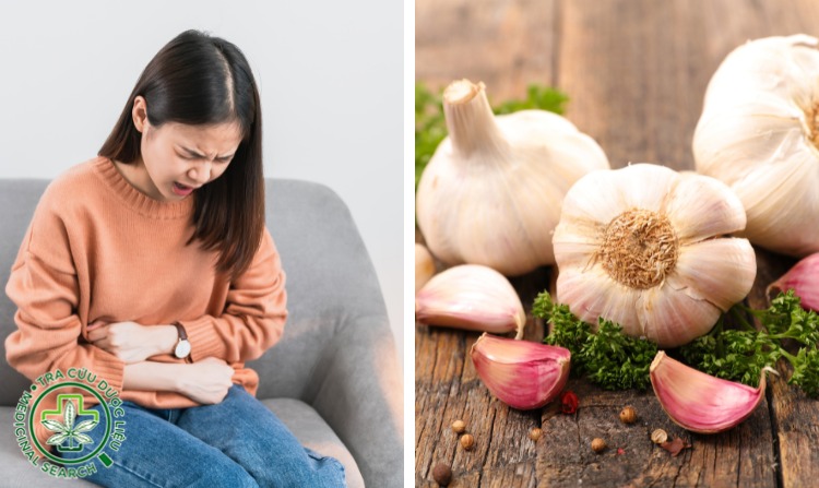 2.5. Chữa bệnh phụ khoa bằng tỏi 1 2.5. Chữa bệnh phụ khoa bằng tỏi 1