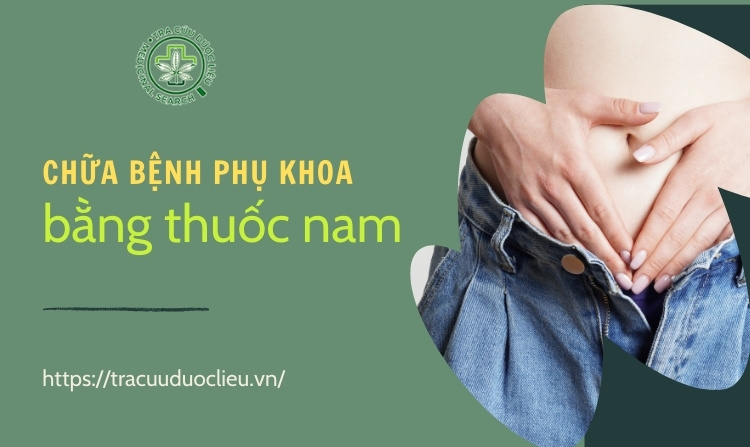Chữa bệnh phụ khoa bằng thuốc nam chị em nên biết 1 Chữa bệnh phụ khoa bằng thuốc nam chị em nên biết 1