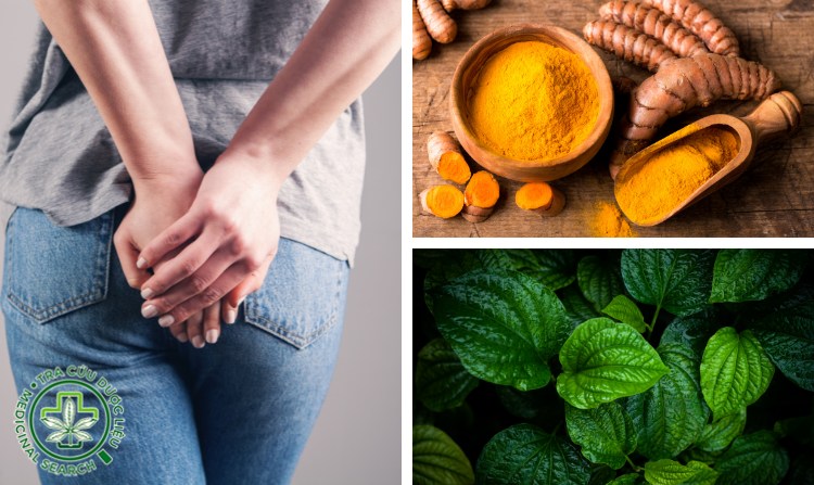 2.5. Cách chữa bệnh trĩ bằng nghệ và lá lốt 1