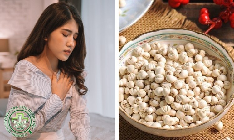 2.4. Chữa hen phế quản bằng bối mẫu 1 2.4. Chữa hen phế quản bằng bối mẫu 1