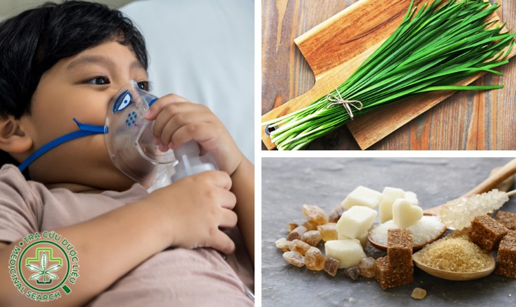 2.1. Chữa hen phế quản bằng lá hẹ 1 2.1. Chữa hen phế quản bằng lá hẹ 1