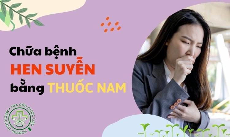 7 cách chữa bệnh hen phế quản bằng thuốc nam hiệu quả 1 7 cách chữa bệnh hen phế quản bằng thuốc nam hiệu quả 1