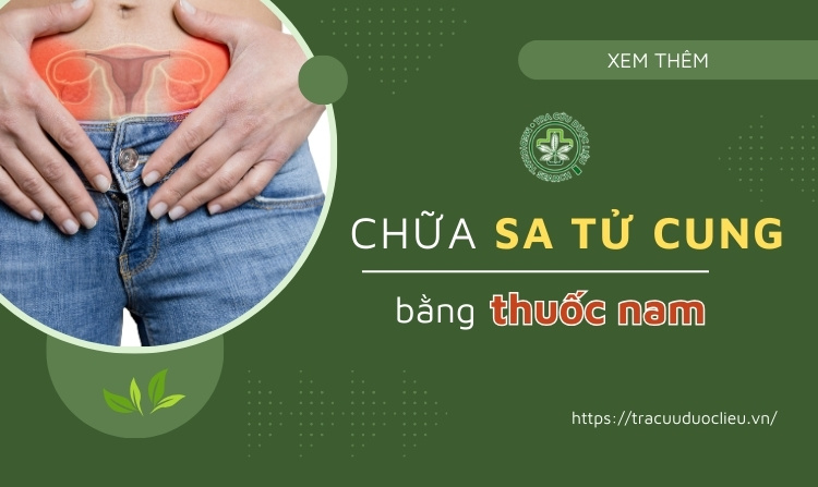 7 cách chữa sa tử cung bằng thuốc nam ít người biết 1