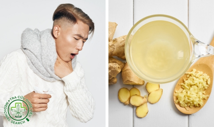 3. Trị ho hiệu quả nhờ gừng 1 3. Trị ho hiệu quả nhờ gừng 1
