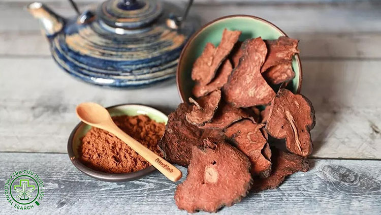 Cách dùng hà thủ ô an toàn, giảm nóng trong và bảo vệ gan 1