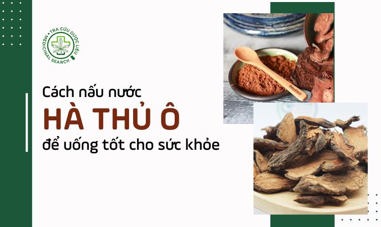 Cách nấu nước hà thủ ô để uống tốt cho sức khỏe 1