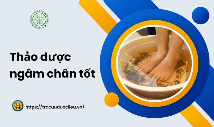 Khám phá ngay 11 loại thảo dược ngâm chân tốt 1