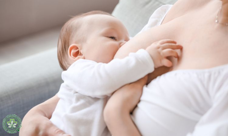 Cho con bú có uống hà thủ ô được không? 1 Cho con bú có uống hà thủ ô được không? 1